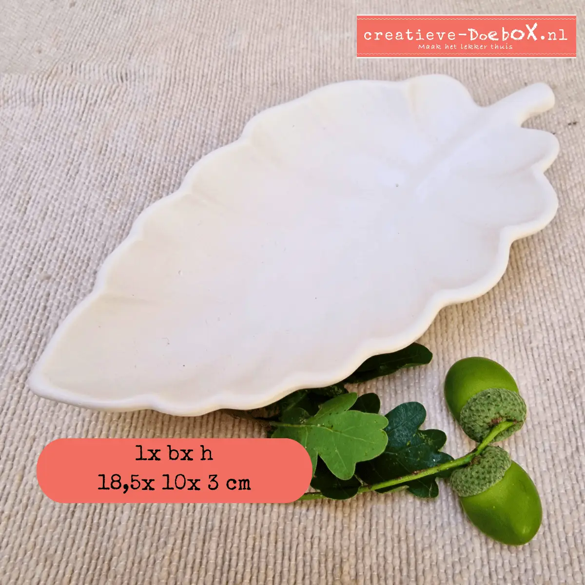schaaltje om te beschilderen in een bladvorm