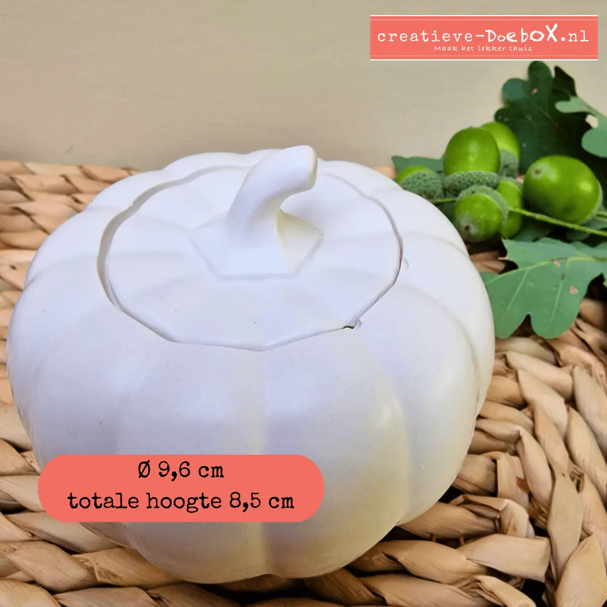 herfstpompoen om te beschilderen