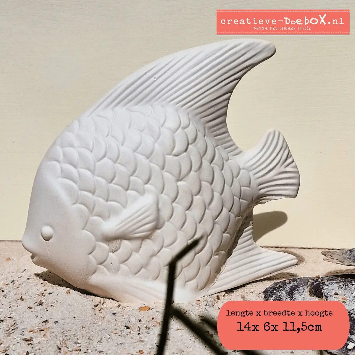 ibizapakket creatief maanvis