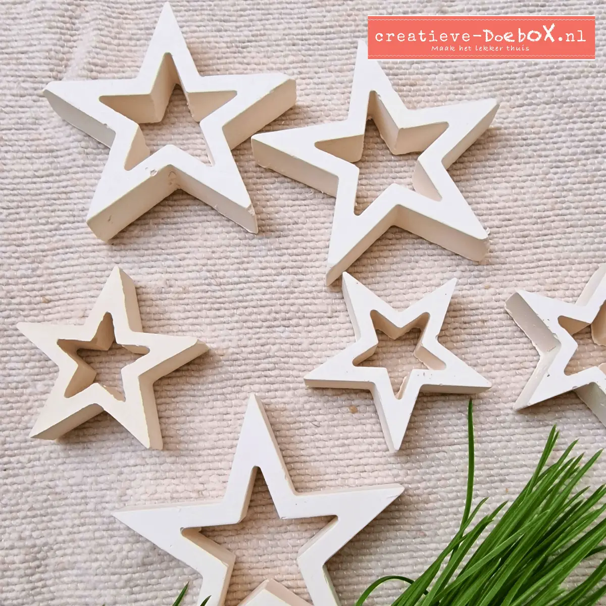 kerststerren om te beschilderen
