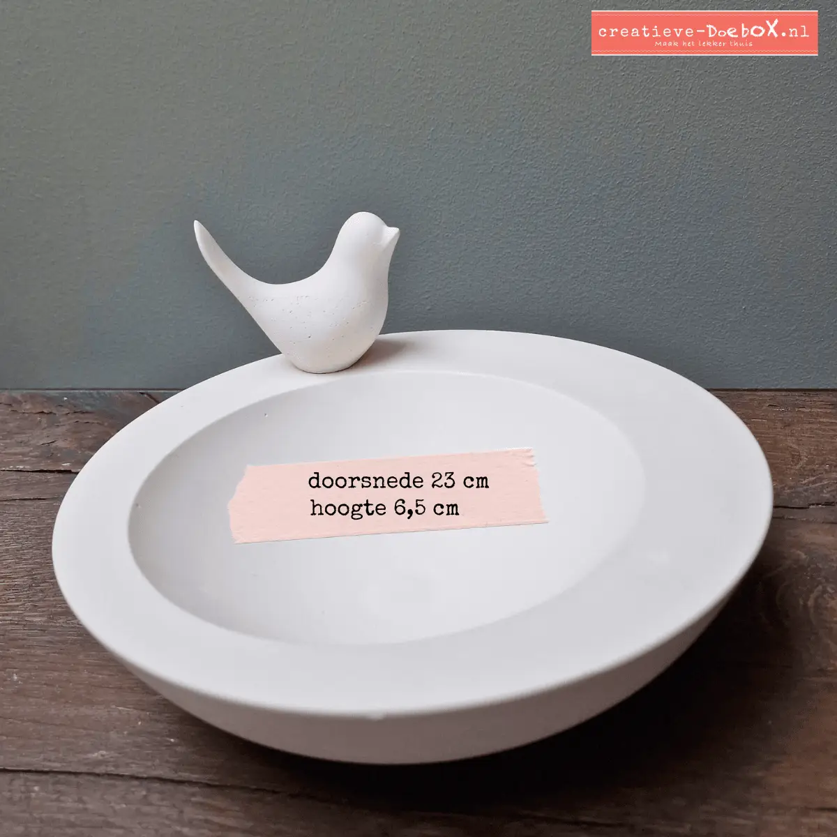 lente ontwerp vogelschaal om te beschilderen