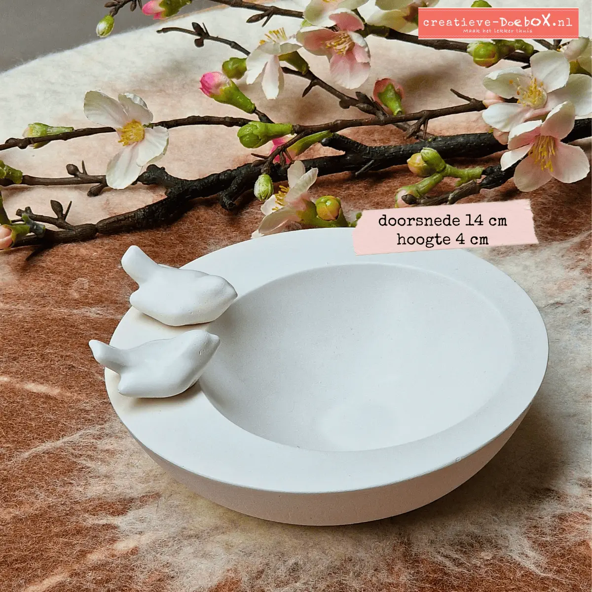 lente schaal met vogeltjes om te beschilderen