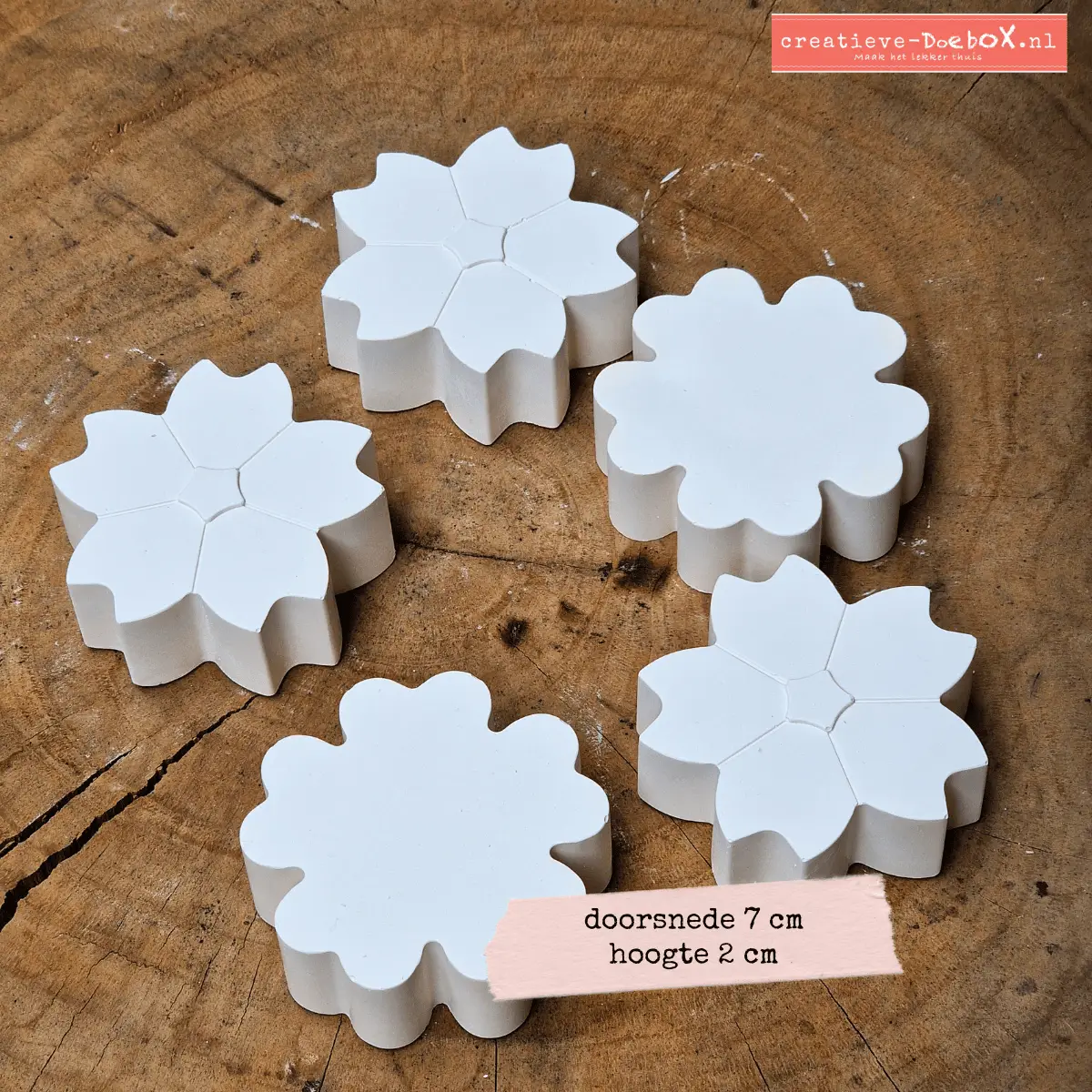 bloemen van gips om te beschilderen