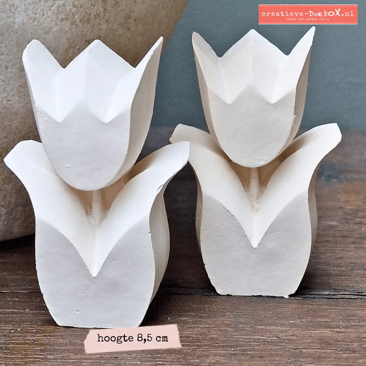 decoratieve tulpjes om te beschilderen