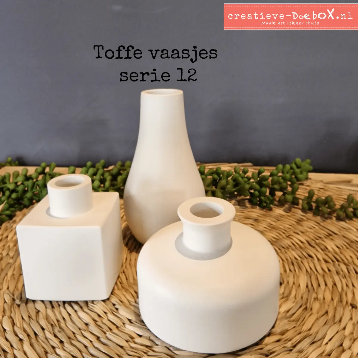 minivaasjes voor droogbloemen creatief pakket voor thuis