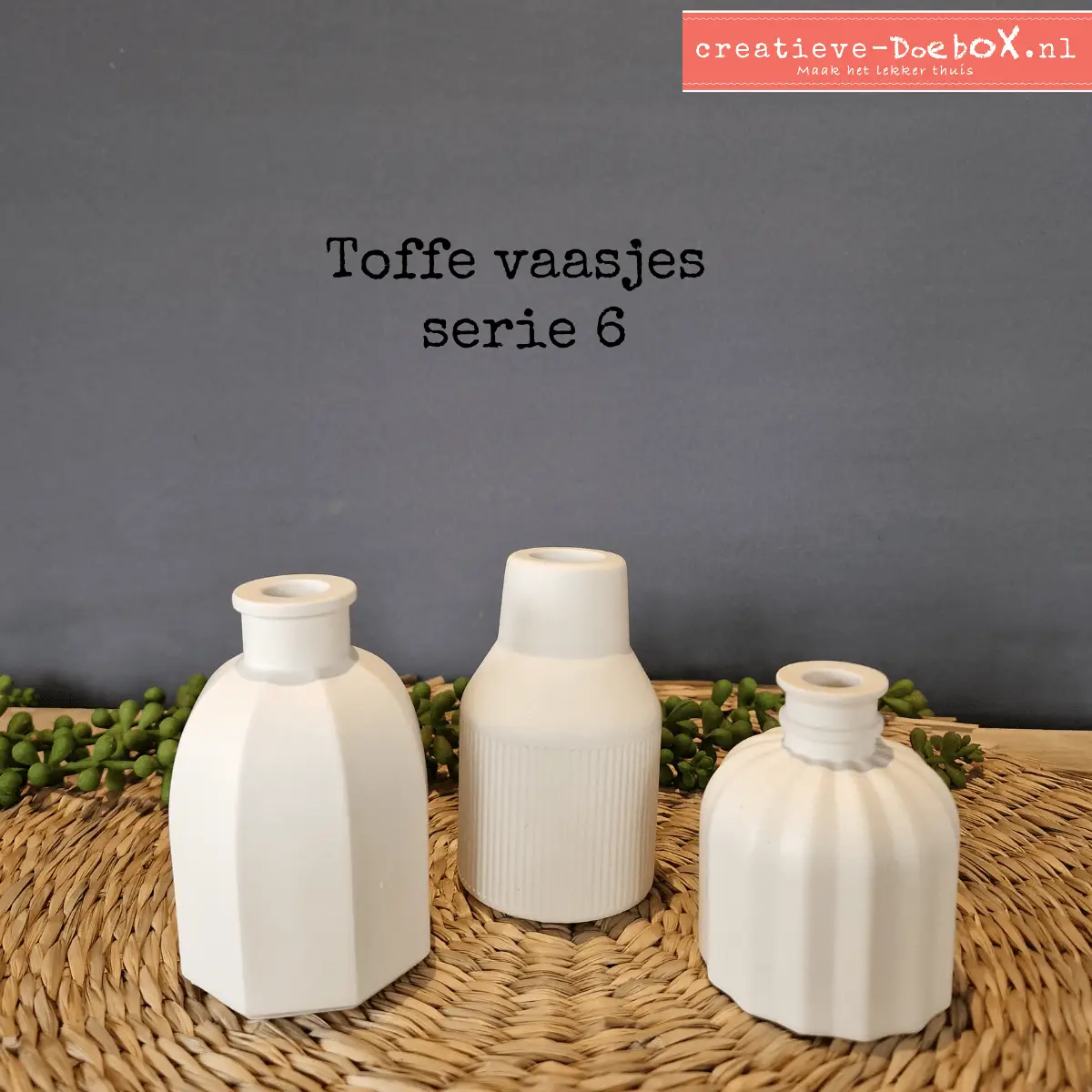 vaasjes om te beschilderen