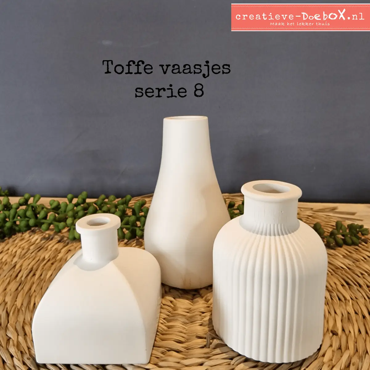 vaasjespakket om te beschilderen
