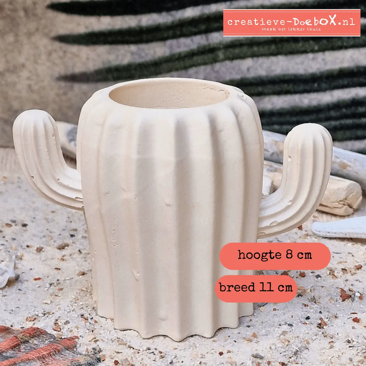 creatief pakket voor thuis volwassenen en kinderen cactusvaasje