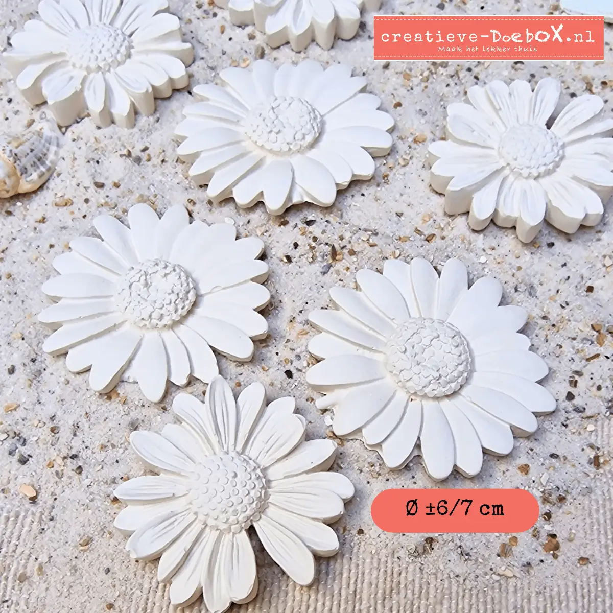 creatief pakket voor thuis set bloemen