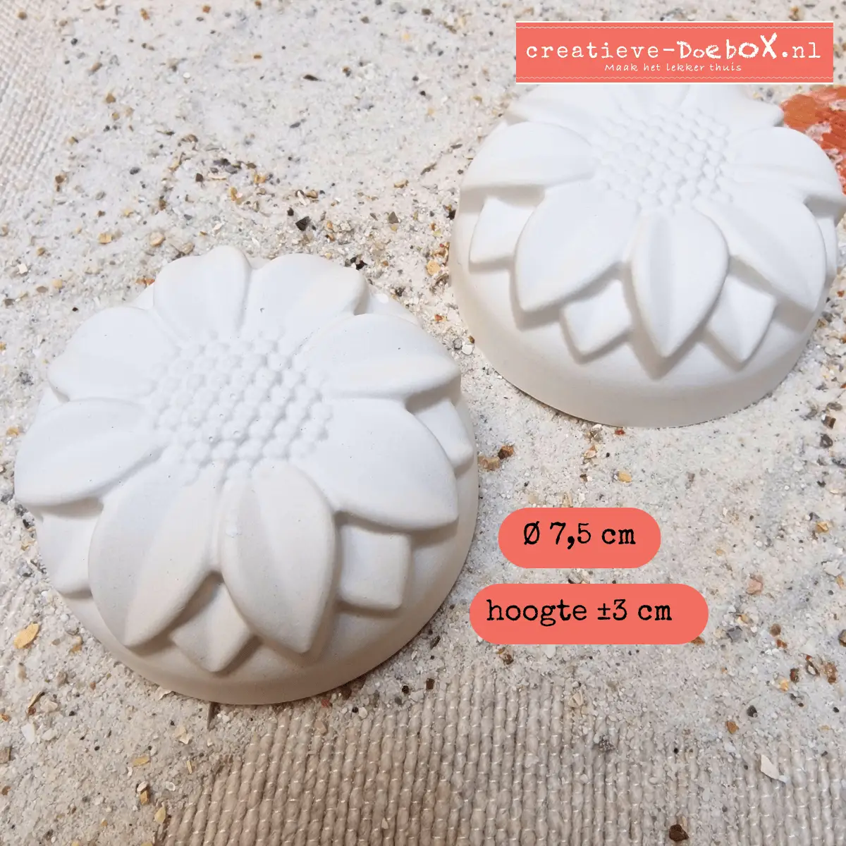 creatief pakket voor thuis zonnebloemen om te beschilderen