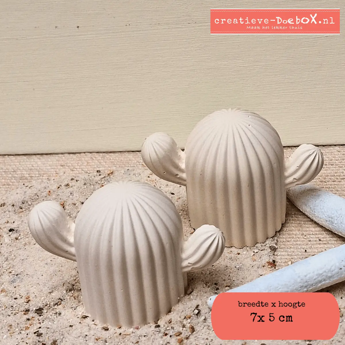 knutselpakket zomercactus