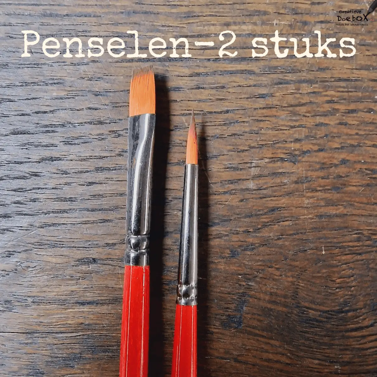 set hobbypenselen voor acrylverf