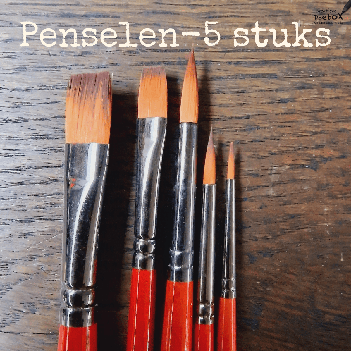 set van vijf penselen