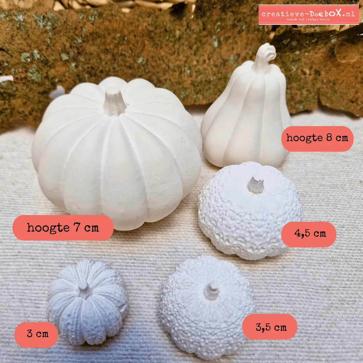set pompoenen om te beschilderen keramisch gips