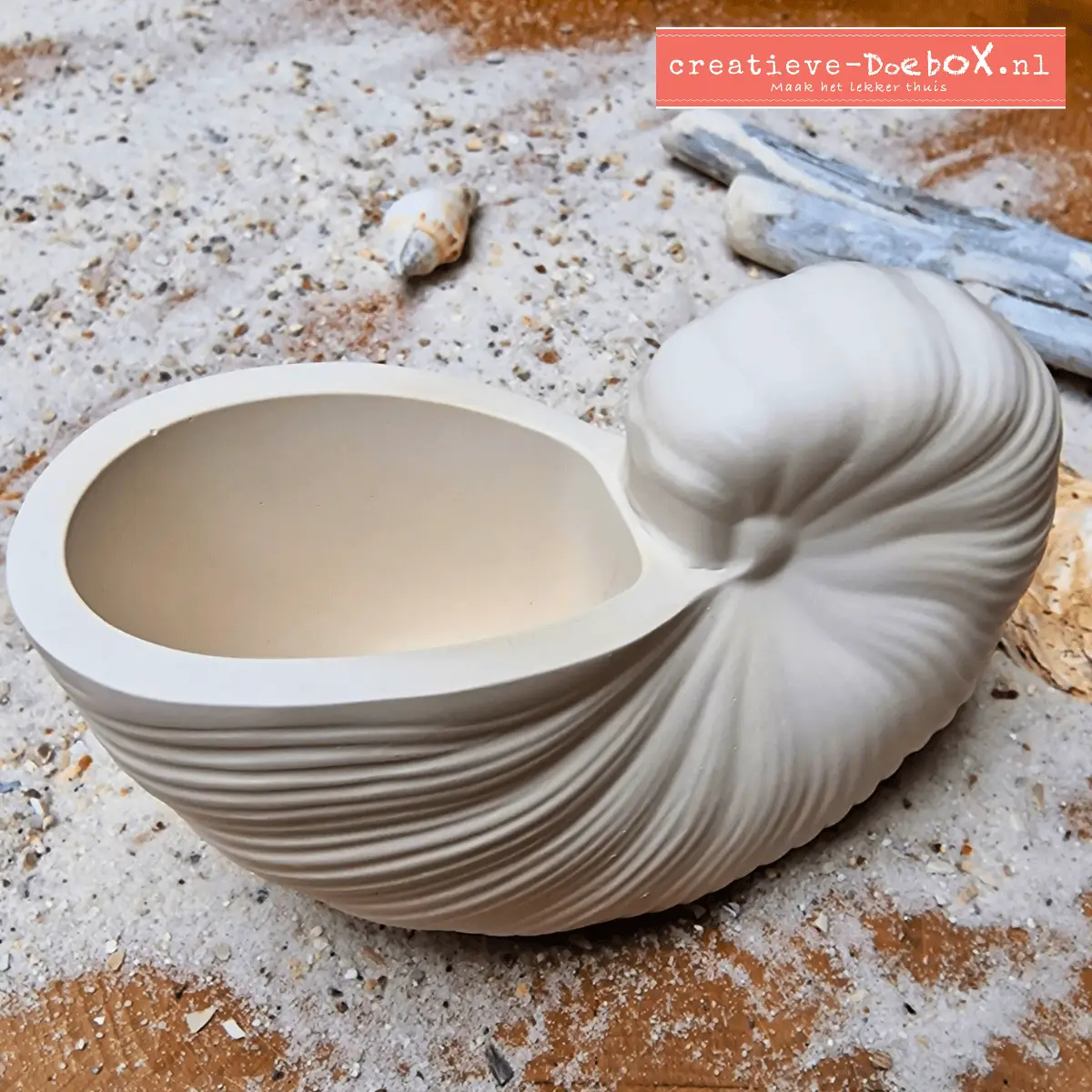 schelp om wattenstaafjes in te zetten