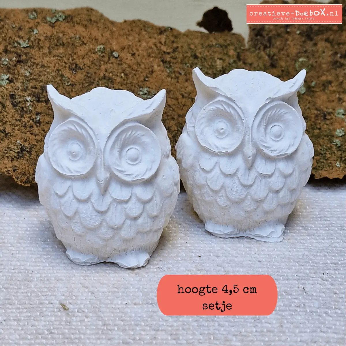 set schattige uiltjes om te beschilderen hobbypakket