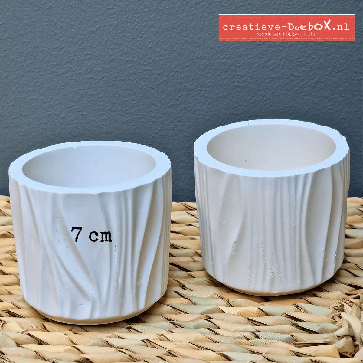 minipotjes om thuis te beschilderen voor cactusjes