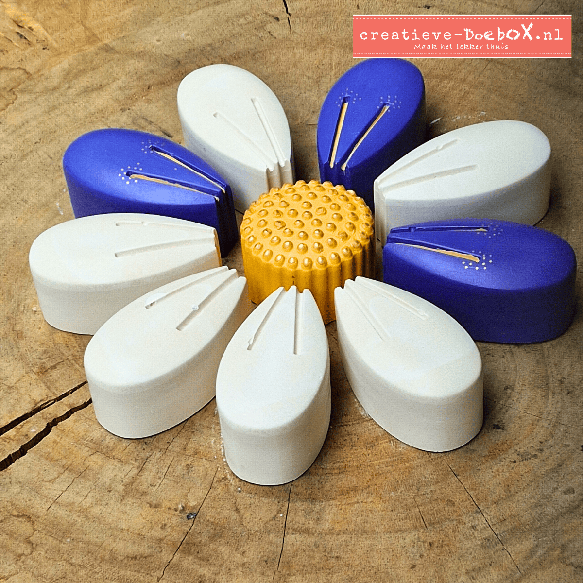 creatief pakket voor volwassenen bloem beschilderen