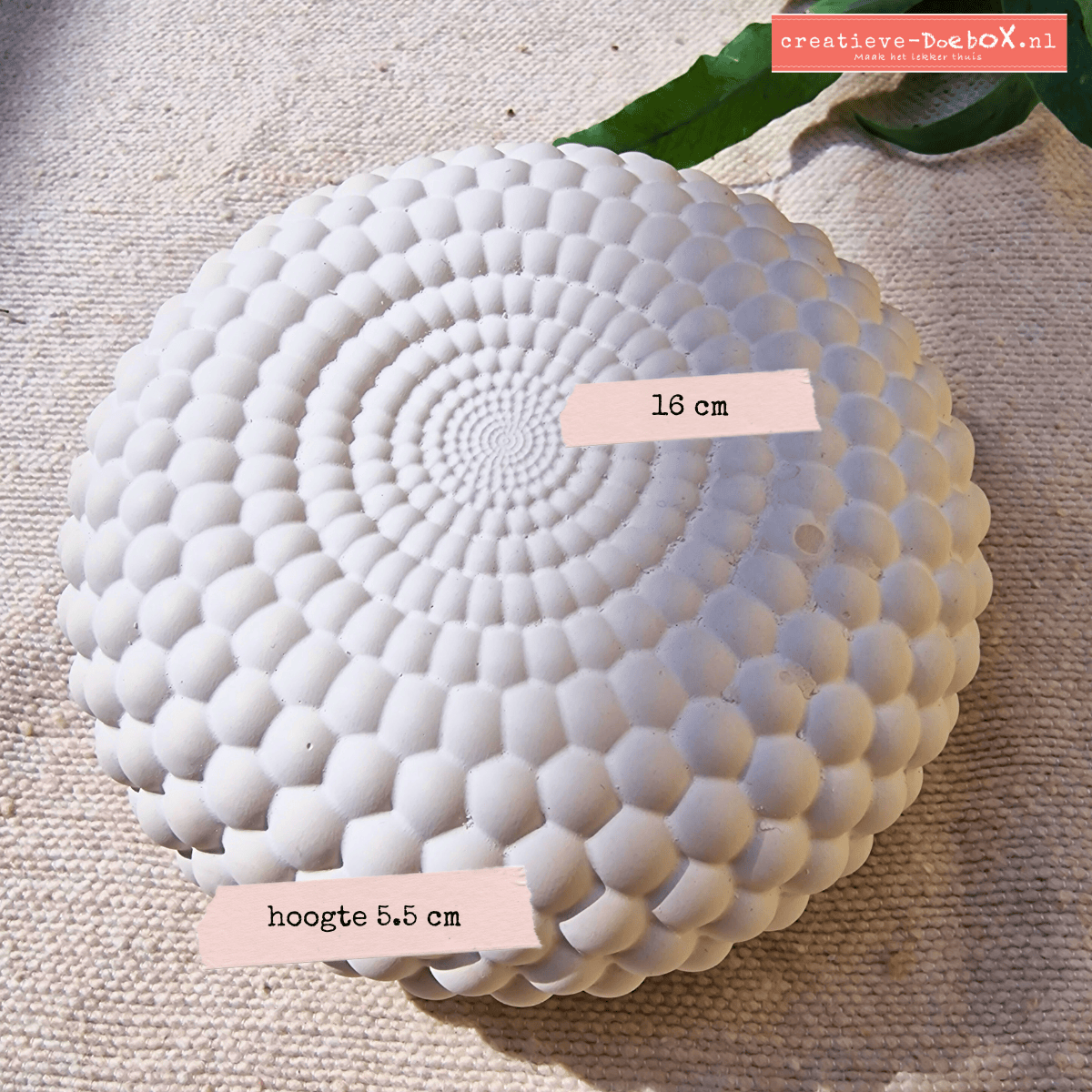 bijzonder ornament om te beschilderen creatief pakket voor thuis